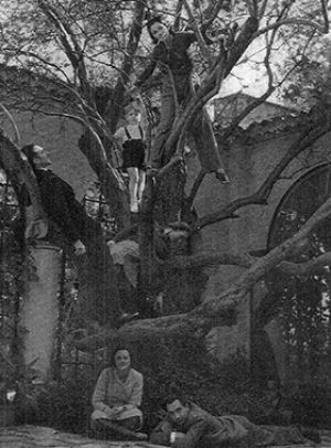 Coco Chanel former home in the soutchanel in a tree at la pausa.jpg